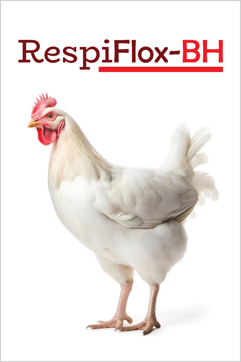 Zenchlor-TC Product Image