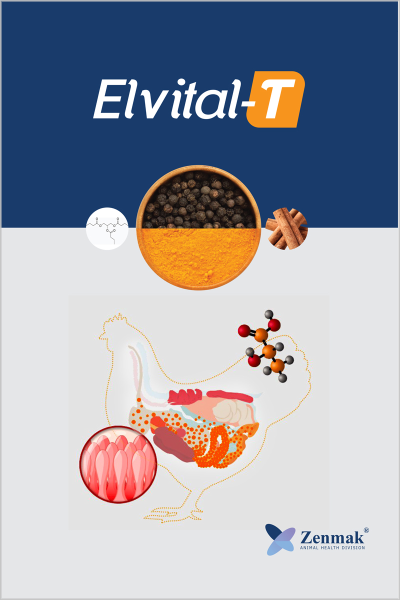 Zenchlor-TC Product Image