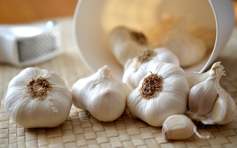 Allivisat Liq (Garlic Extract)